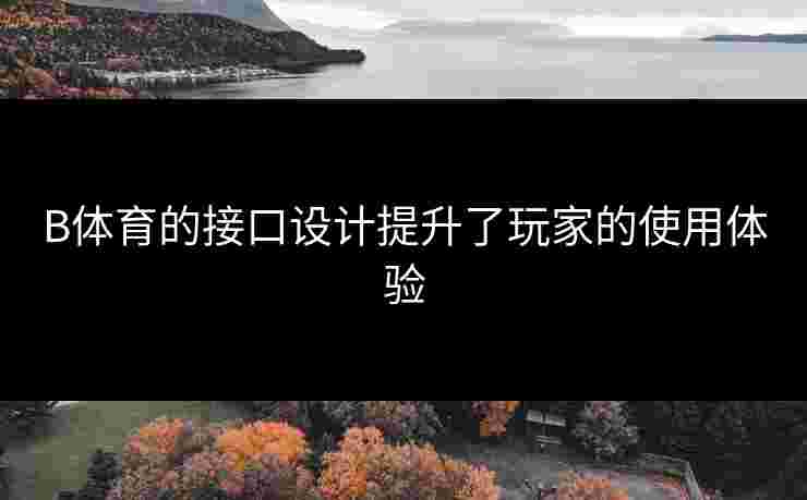B体育的接口设计提升了玩家的使用体验