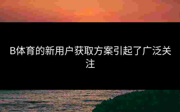 B体育的新用户获取方案引起了广泛关注