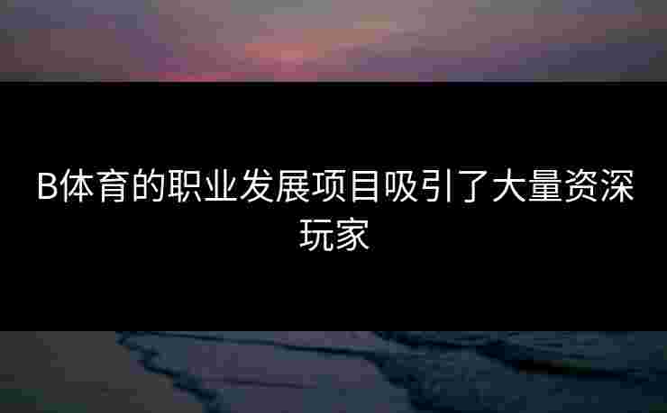 B体育的职业发展项目吸引了大量资深玩家