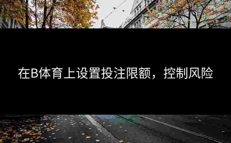 在B体育上设置投注限额，控制风险