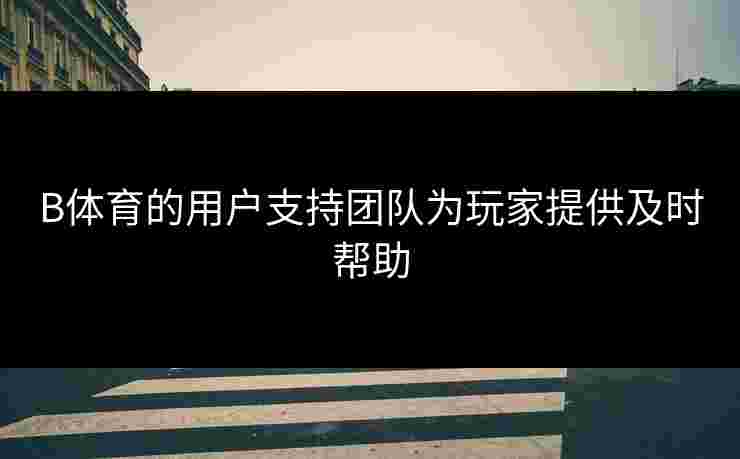 B体育的用户支持团队为玩家提供及时帮助
