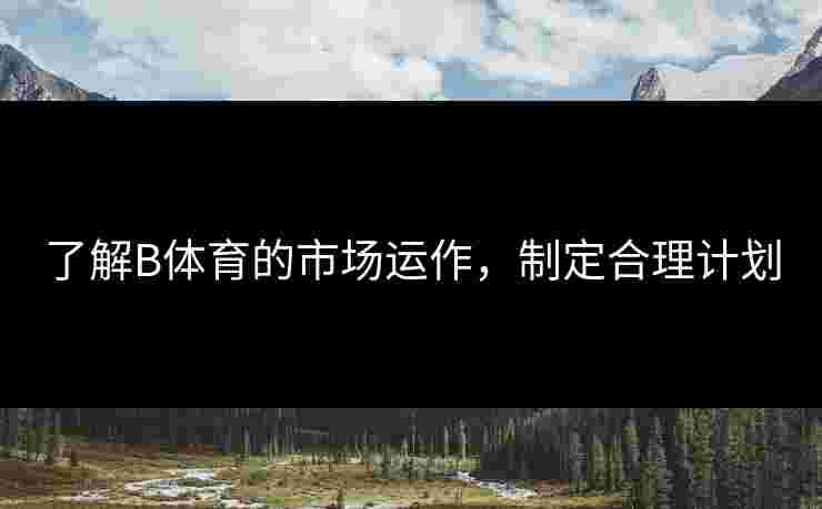 了解B体育的市场运作，制定合理计划