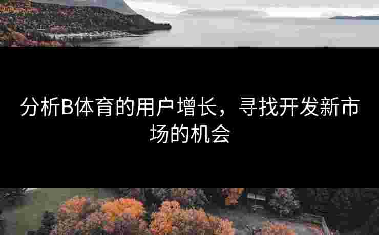 分析B体育的用户增长，寻找开发新市场的机会