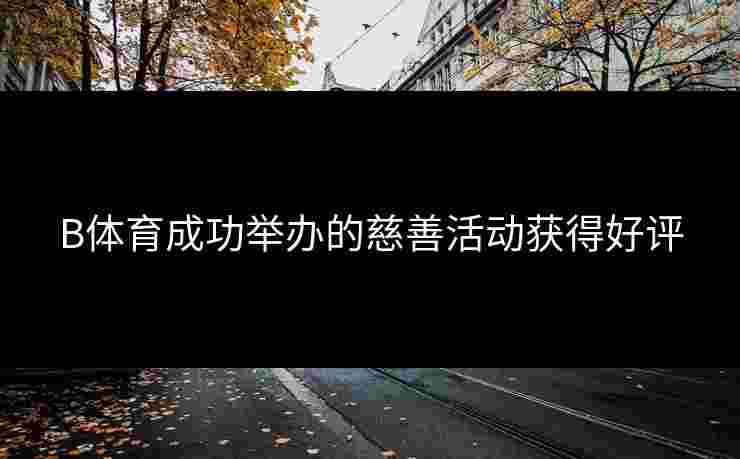 B体育成功举办的慈善活动获得好评